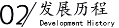 發展歷程/Development History